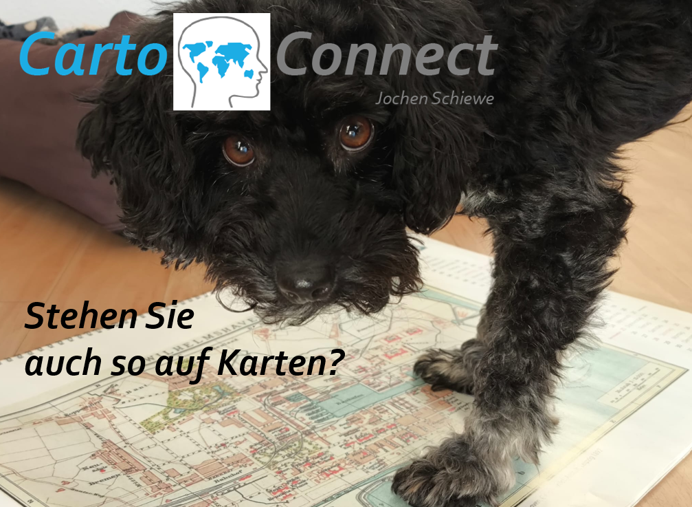 CartoConnect